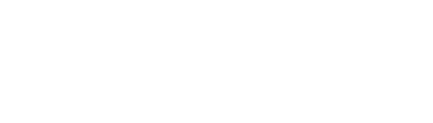 Echelon White Logo